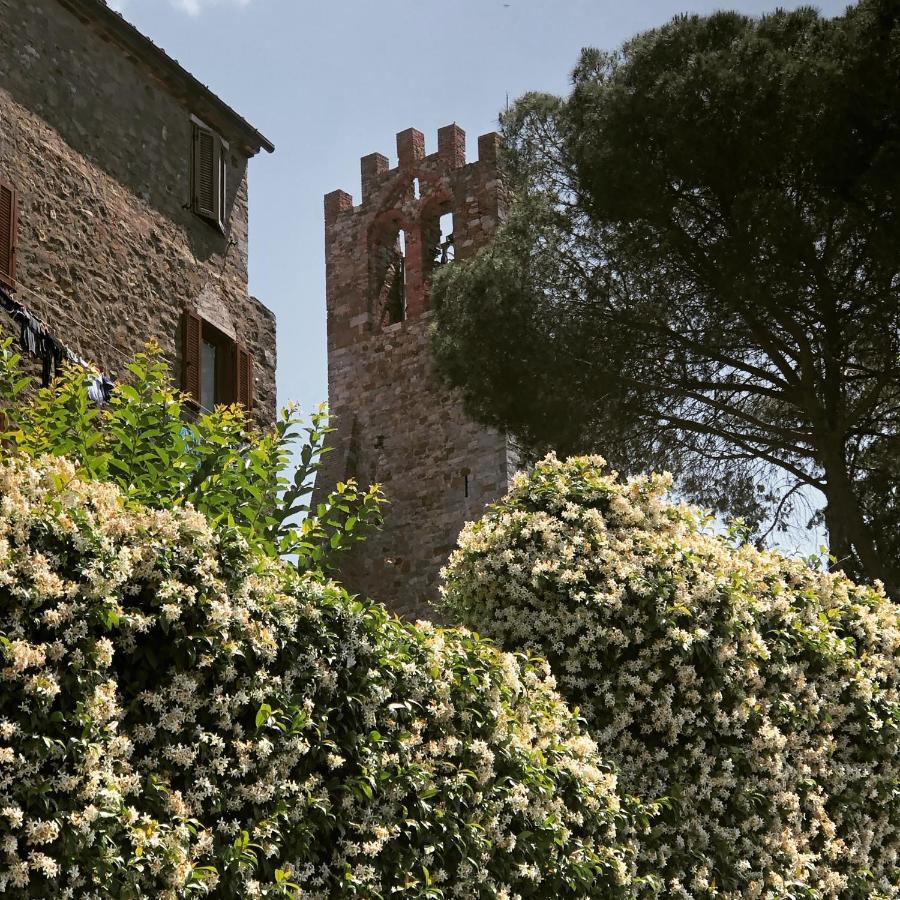 Guest House Campagnatico Exterior photo